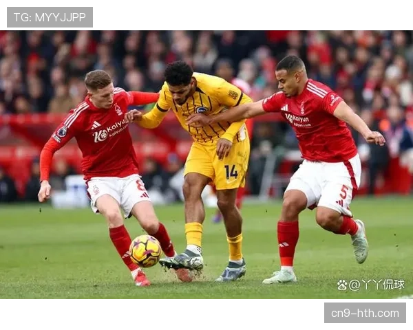 布莱顿1-0小胜谢菲联,继续保持对欧战区的冲击